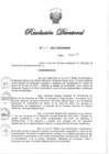 Vista preliminar de documento RD N° 407-2021.pdf