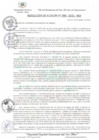 Vista preliminar de documento Resolución de Alcaldía
