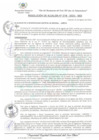 Vista preliminar de documento Resolución de Alcaldía