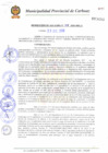 Vista preliminar de documento N° 389-2010.pdf