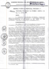 Vista preliminar de documento R.G.R. N506-2021GRT-GRPPAT-GR_29Dic2021