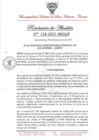 Vista preliminar de documento RA-N-126-2021-MDSA