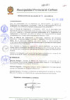 Vista preliminar de documento N° 396-2010.pdf