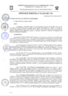 Vista preliminar de documento Ordenanza Municipal Nº 013-2021-MDT-CM