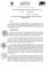 Vista preliminar de documento RESOLUCIÓN GERENCIAL REGIONAL DE INFRAESTRUCTURA  477.PDF