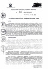 Vista preliminar de documento RESOLUCION GERENCIAL GENERAL REGIONAL  246.PDF