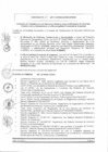 Vista preliminar de documento 2017