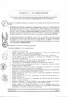 Vista preliminar de documento 2017