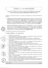 Vista preliminar de documento 2017
