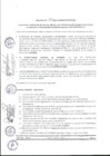 Vista preliminar de documento 2017