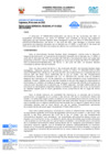 Vista preliminar de documento RESOLUCION GERENCIAL REGIONAL N° D001-GRDS.pdf
