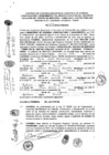 Vista preliminar de documento 2016