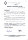 Vista preliminar de documento RESOLUCIÓN DE ALCALDÍA N° 0916-2010/MPS