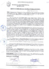 Vista preliminar de documento RESOLUCIÓN DE ALCALDÍA N° 0924-2010/MPS