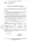 Vista preliminar de documento RESOLUCIÓN DE ALCALDÍA N° 0917-2010/MPS
