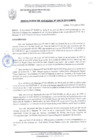Vista preliminar de documento RESOLUCIÓN DE ALCALDÍA N° 0919-2010/MPS