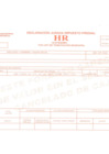 Vista preliminar de documento Declaracion jurada Impuesto predial - Hoja Resumen (HR).pdf