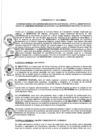 Vista preliminar de documento 2011