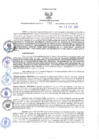 Vista preliminar de documento RGRI N° 001-2022
