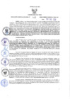 Vista preliminar de documento RGRI N° 002-2022 