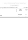 Vista preliminar de documento RES DIC 2021.pdf