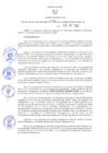 Vista preliminar de documento RER N° 032-2022