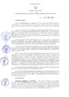 Vista preliminar de documento RER N° 035-2022