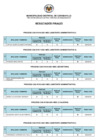 Vista preliminar de documento RESULTADOS_FINALES.pdf
