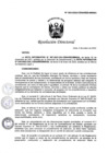 Vista preliminar de documento RD_003_2022_CENARES.pdf