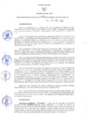 Vista preliminar de documento RER N° 040-2022