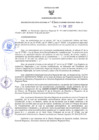 Vista preliminar de documento RER N° 041-2022.