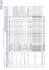 Vista preliminar de documento Anexo