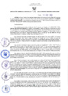 Vista preliminar de documento RES-009-2022-GRDS