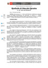Vista preliminar de documento RDE-007-2022-JUS-PRONACEJ.pdf