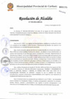 Vista preliminar de documento N° 270-2011.pdf