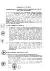 Vista preliminar de documento 2011