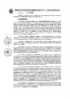 Vista preliminar de documento Resolución de Gerencia N° 524-2021-MPCP