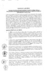 Vista preliminar de documento 2010