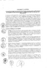 Vista preliminar de documento 2010