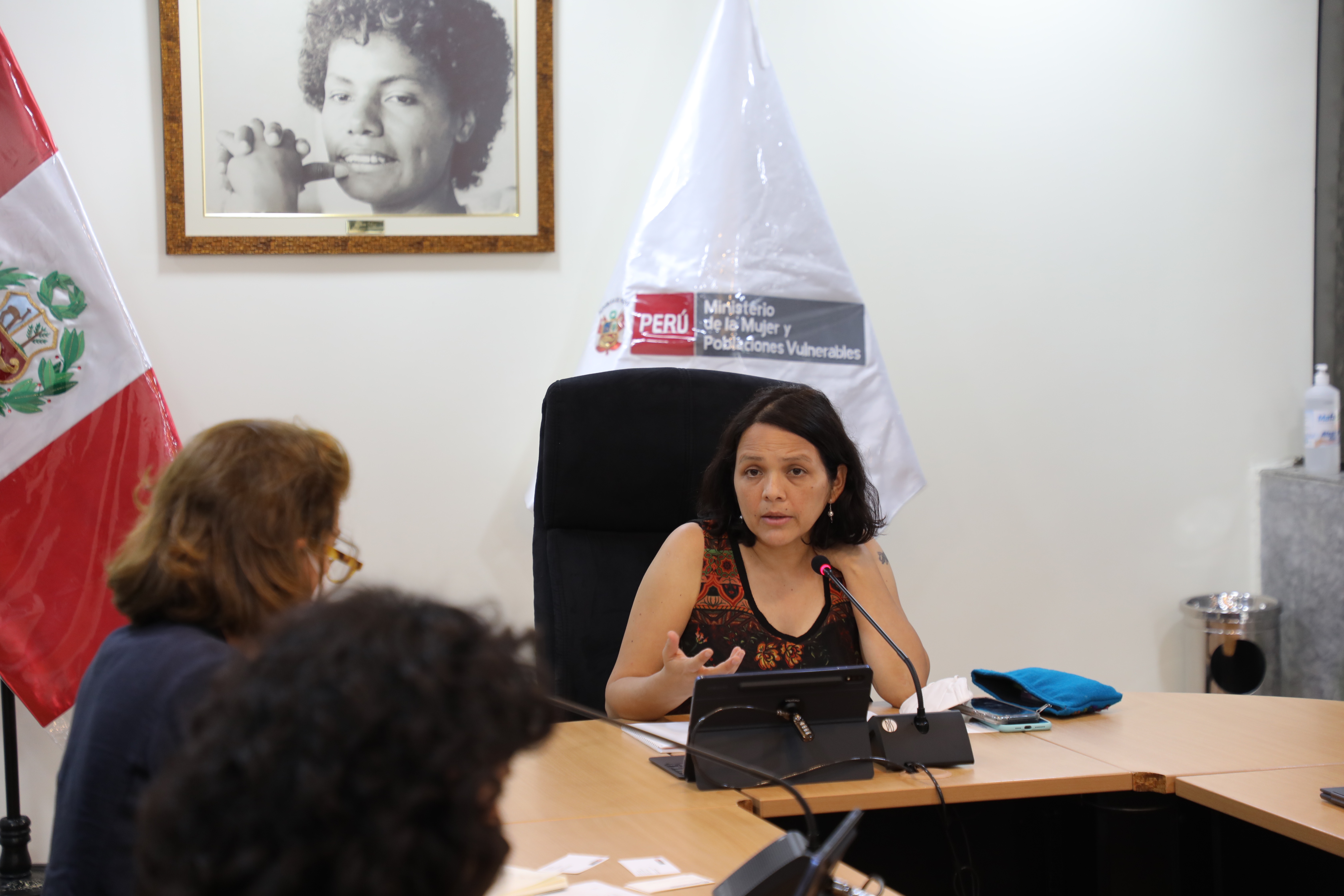 Ministra Anahí Durand se reunió con representantes de la cooperación internacional
