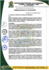 Vista preliminar de documento Ordenanza Municipal
