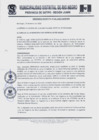 Vista preliminar de documento Ordenanza municipal