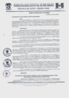 Vista preliminar de documento Ordenanza municipal