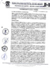Vista preliminar de documento Ordenanza municipal