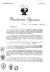 Vista preliminar de documento 2010