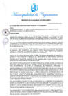 Vista preliminar de documento DA-1
