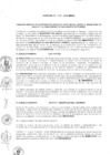 Vista preliminar de documento 2010
