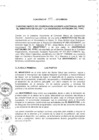 Vista preliminar de documento 2010