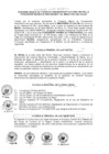 Vista preliminar de documento 2010