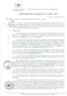 Vista preliminar de documento Resolución de Alcaldía